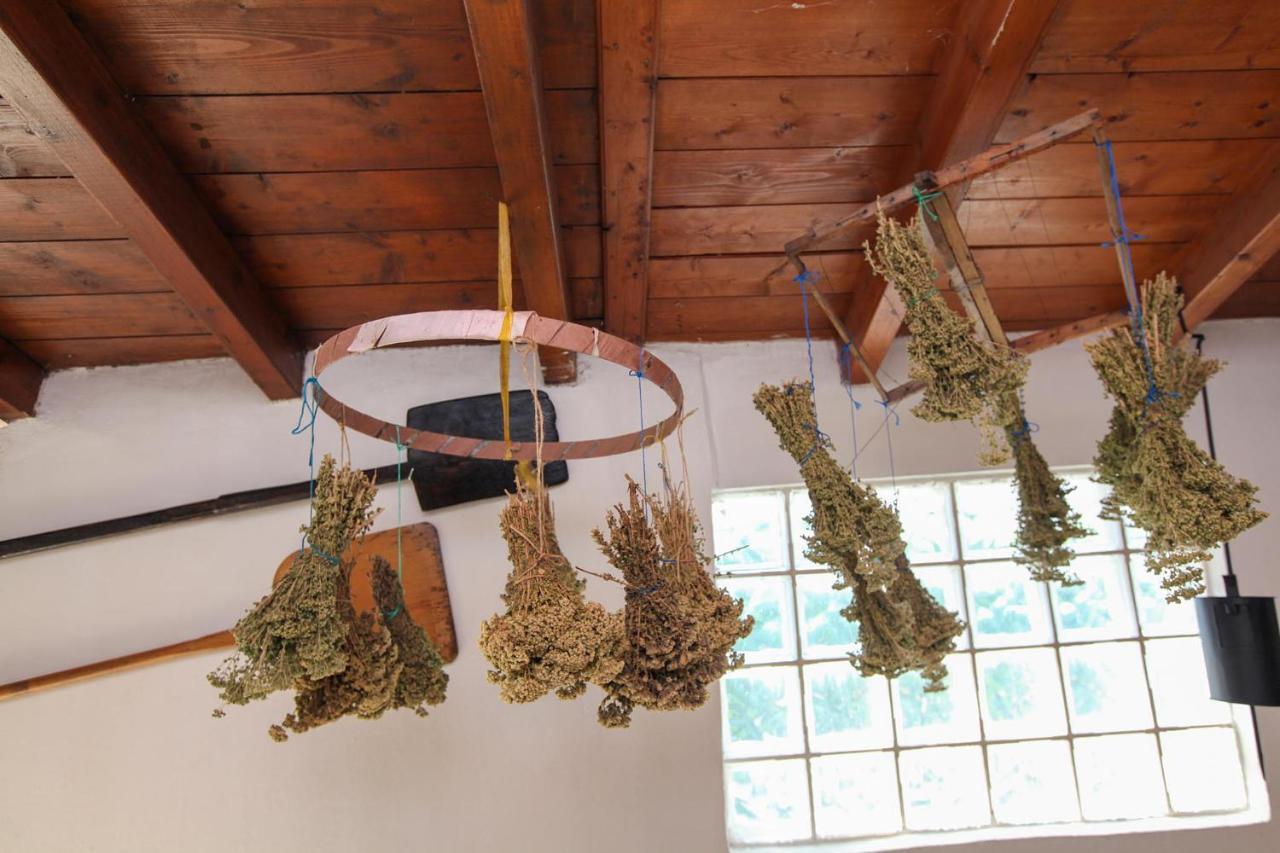 Traditional Asimakis Ferienhaus *