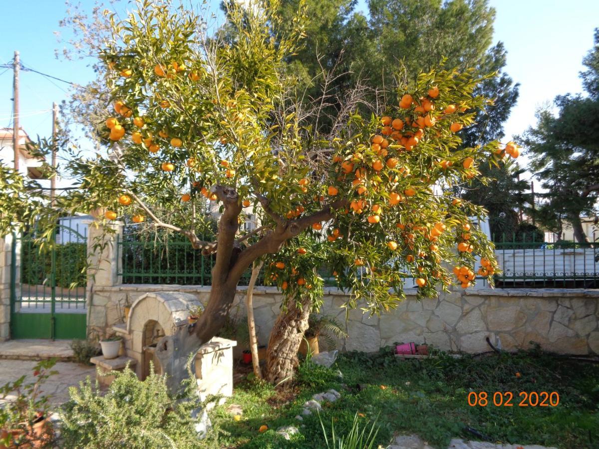 Ferienhaus Traditional Asimakis *