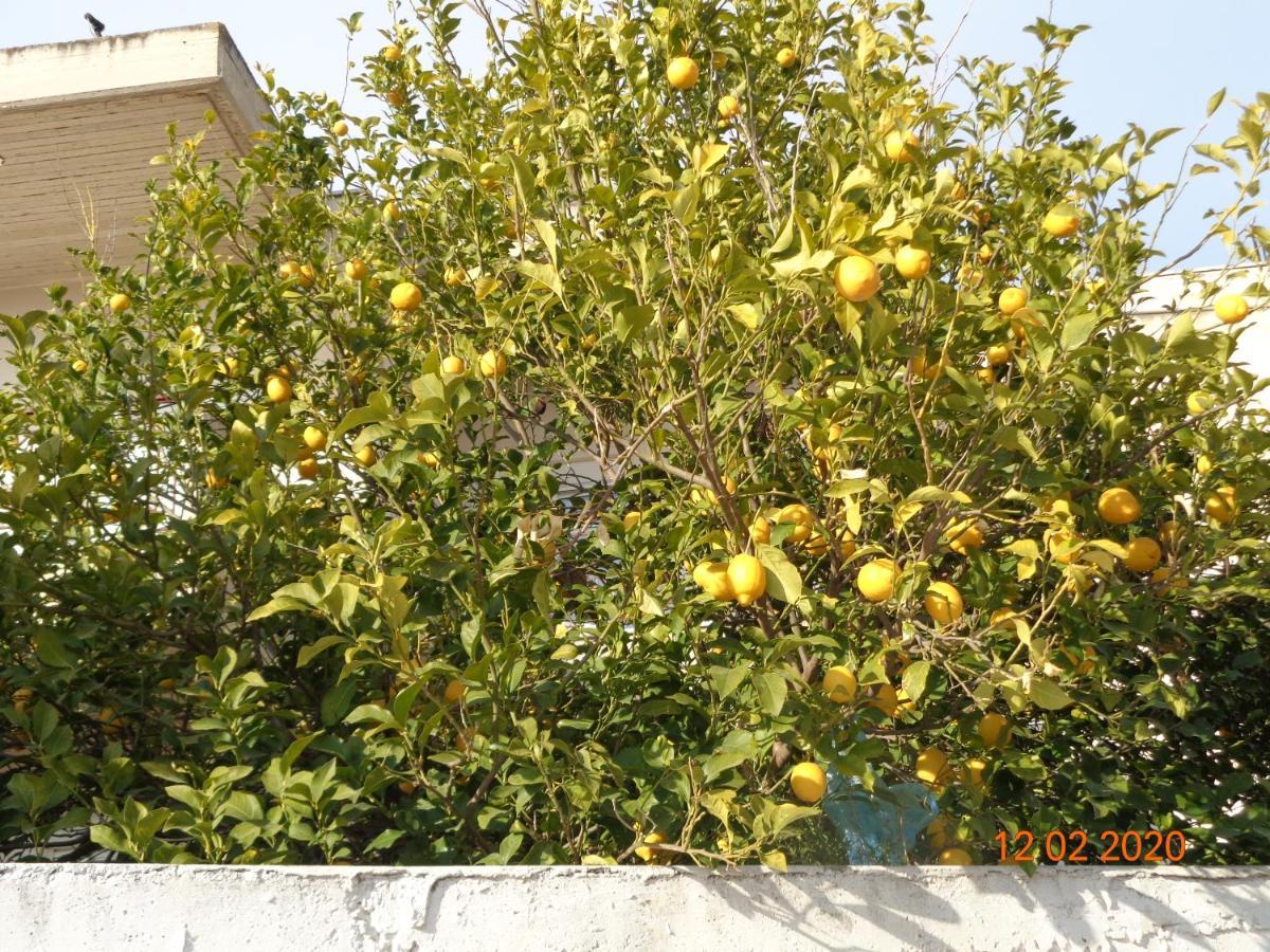 Ferienhaus Traditional Asimakis