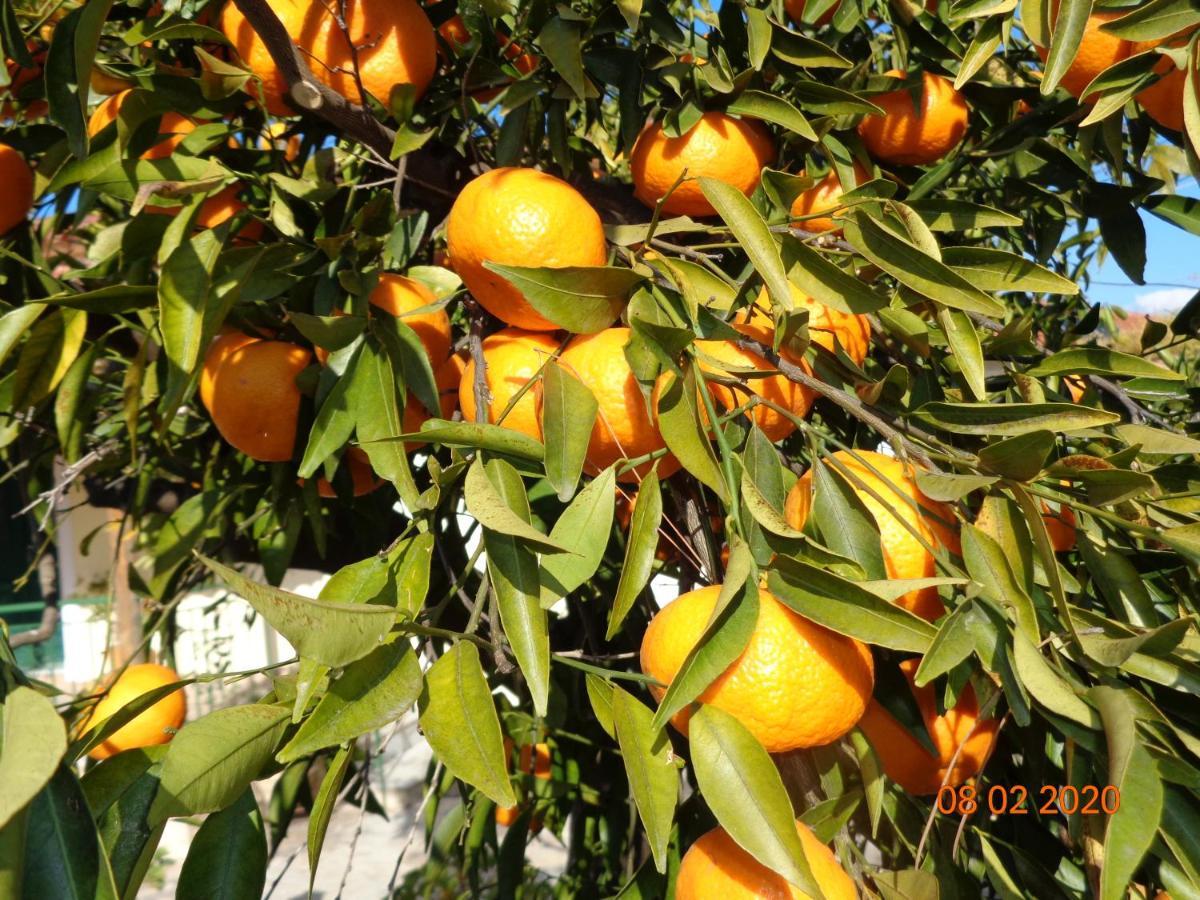 Traditional Asimakis Holiday home Anifion