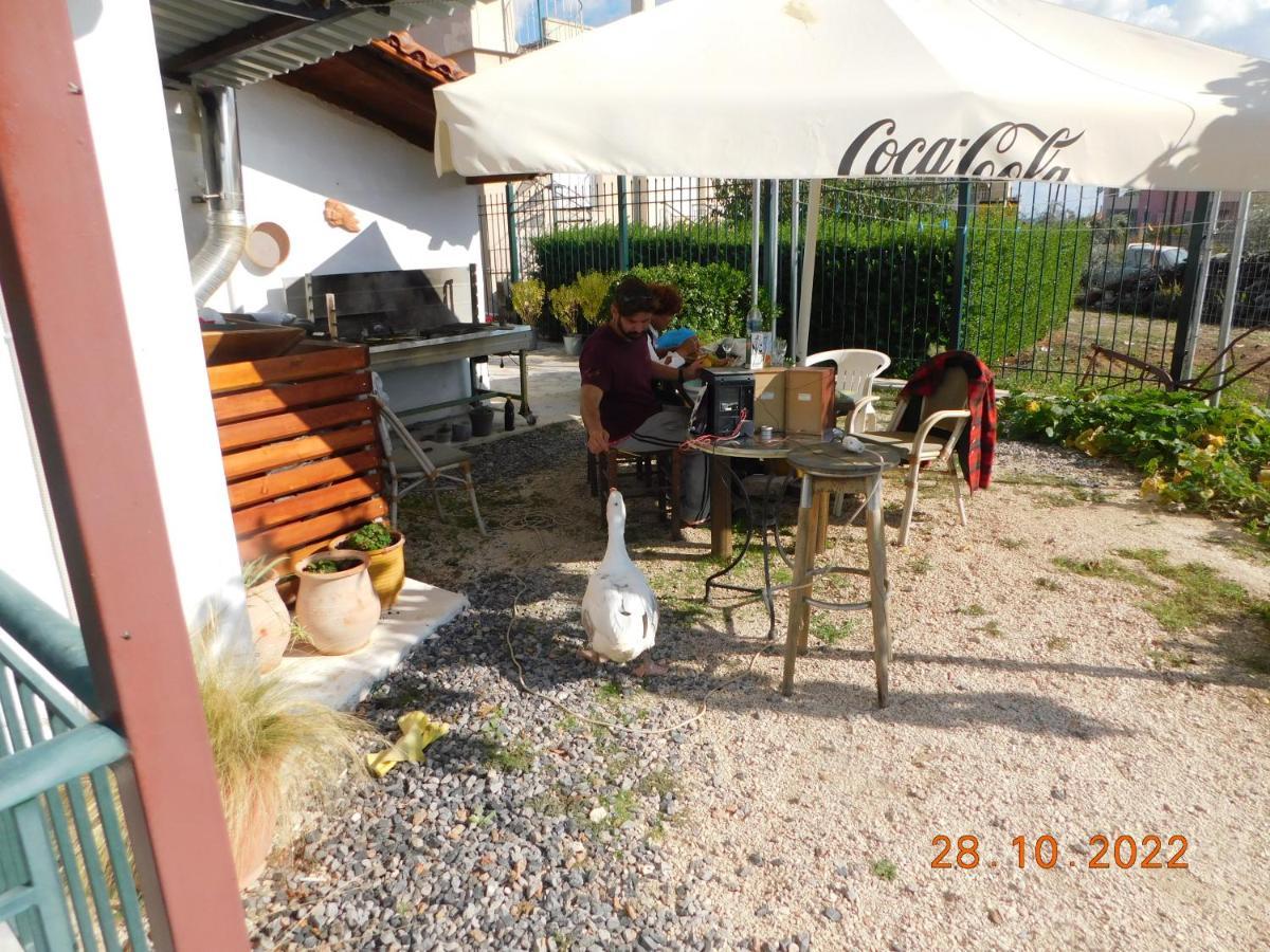 Traditional Asimakis Ferienhaus *