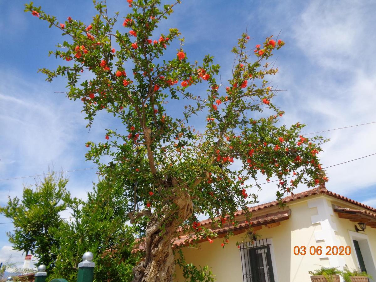 Holiday home Traditional Asimakis Anifion